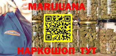 индика Кандалакша