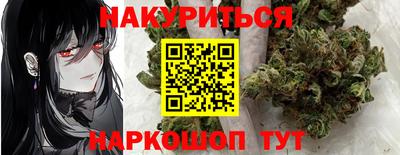 индика Кандалакша