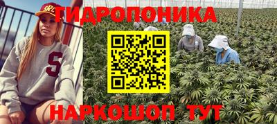 индика Кандалакша
